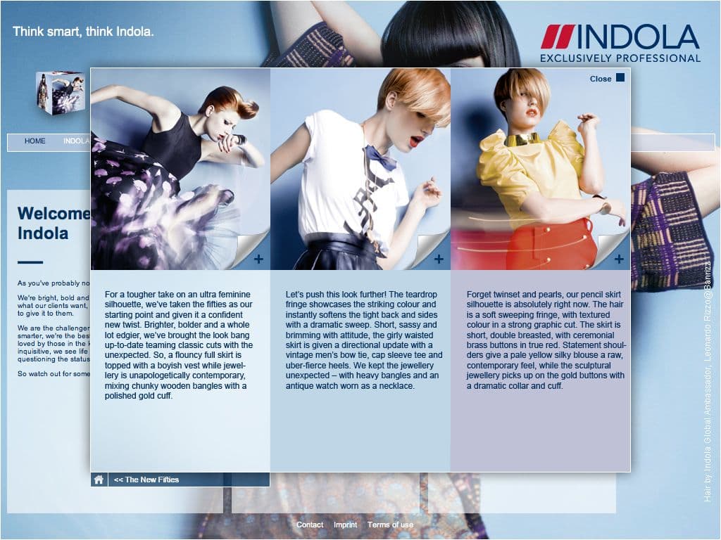 SCHWARZKOPF PROFESSIONAL INDOLA – Bild 2